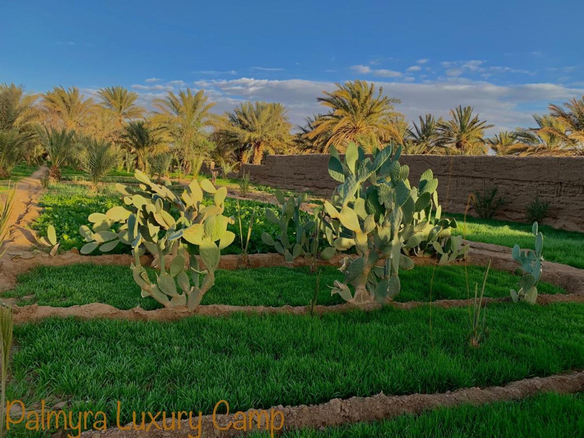 Palmyra Luxury Camp Hotel Merzouga Buitenkant foto
